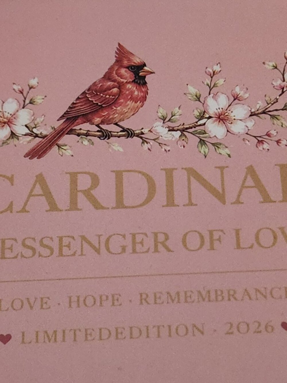 *SPECIAL* Beautiful cardinal inspired bracelet specialized box NEW - Picture 2 of 2